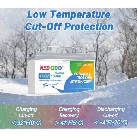 Redodo LiFePo4 12V 100Ah Low-Temp BMS (100A)