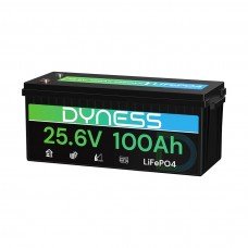 Dyness 24V 100Ah AR2.5-24V Low Temp (LiFePo4, BMS 100A)