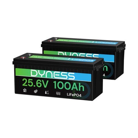 Dyness 24V 100Ah AR2.5-24V Low Temp (LiFePo4, BMS 100A)