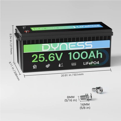Dyness 24V 100Ah AR2.5-24V Low Temp (LiFePo4, BMS 100A)