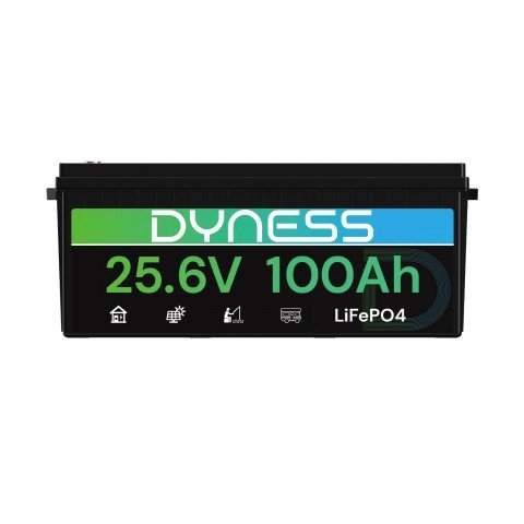 Dyness 24V 100Ah AR2.5-24V Low Temp (LiFePo4, BMS 100A)