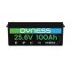 Dyness 24V 100Ah AR2.5-24V Low Temp (LiFePo4, BMS 100A)