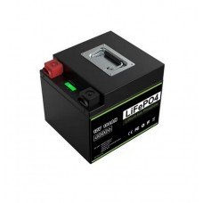 Liemium 12V 100Ah (LiFePo4, BMS, Iron case)