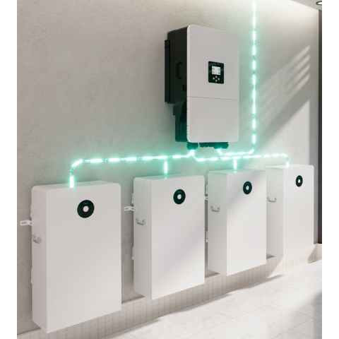 Deye 48V (51.2V) 314Ah RW-F16 (LiFePo4, BMS)