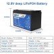 EASUN POWER LiFePo4 12V 100Ah BMS IBattery-TP-12100AH