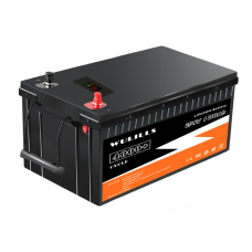 Liemium/WULILLS 24V 100Ah Puls (LiFePo4, BMS)