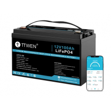 TTWEN 12V 100Ah (LiFePo4, BMS, Bluetooth)