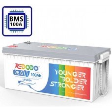 Redodo LiFePo4 24V 100Ah BMS (100A)