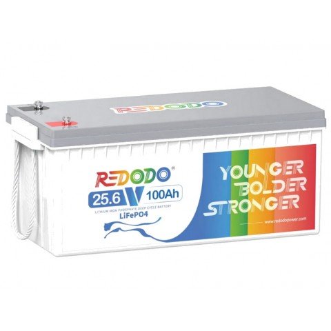 Redodo LiFePo4 24V 100Ah BMS (100A)