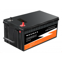 Liemium/WULILLS 12V 300Ah Puls (LiFePo4, BMS)